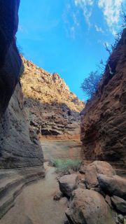 2022-02-GranCan-Barranco_Las_Vacas-PM-NN-24.jpg